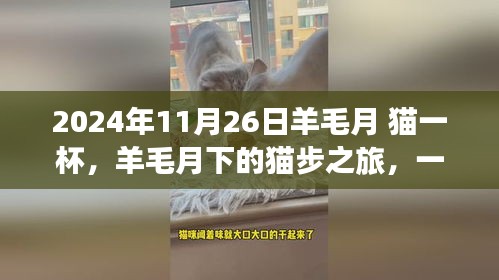 羊毛月下猫步之旅，寻找内心平静的奇妙探险之旅