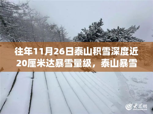 泰山暴雪现象揭秘，积雪深度争议与启示，近20厘米雪量的影响与反思