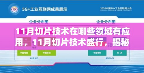 揭秘，11月切片技术在多领域的应用与价值盛行之处