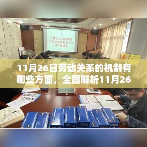 全面解析劳动关系机制，步骤指南与11月26日必读内容