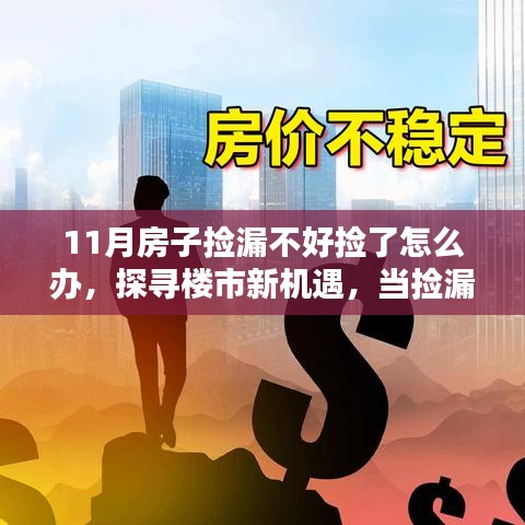 如何应对十一月购房挑战，楼市新机遇探寻与捡漏策略调整