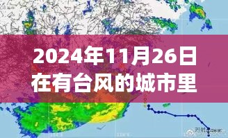 台风来袭时城市居住状况深度解析，2024年11月26日有台风城市居住可行性探讨