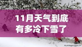 初雪降临时的温暖日常，冬日友情的奇遇与寒冷天气的探索