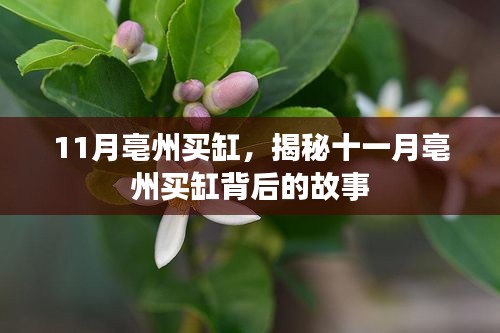 温文尔雅 第2页