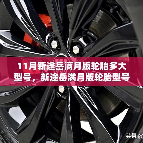 新途岳满月版轮胎型号深度解析，尺寸与性能的权衡探讨