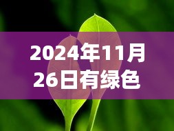 励志之光，绿色果实下的成长与自信成就未来之路