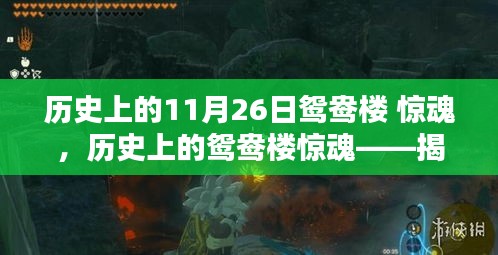 揭秘历史上的鸳鸯楼惊魂，惊魂时刻背后的秘密档案回顾（11月26日）