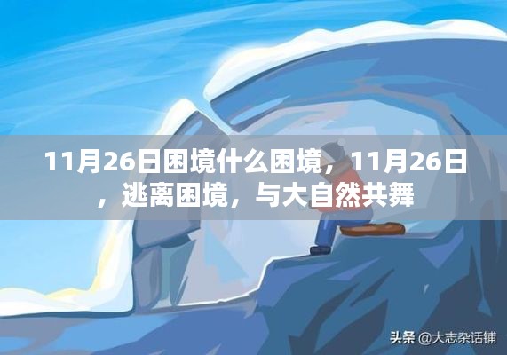 逃离困境，与大自然的共舞在11月26日