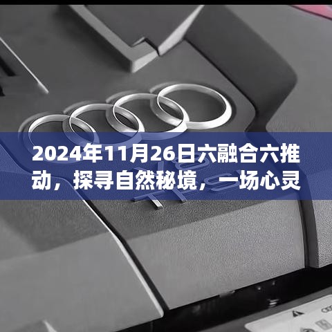 六融合六推动心灵之旅启程，探寻自然秘境的启程日（2024年11月26日）