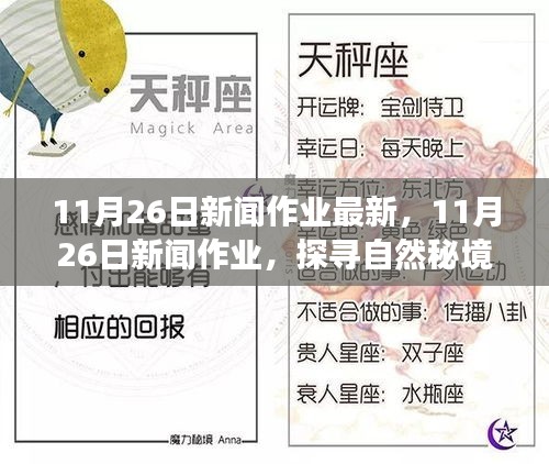 探寻自然秘境，心灵之旅启程，最新11月26日新闻作业报道