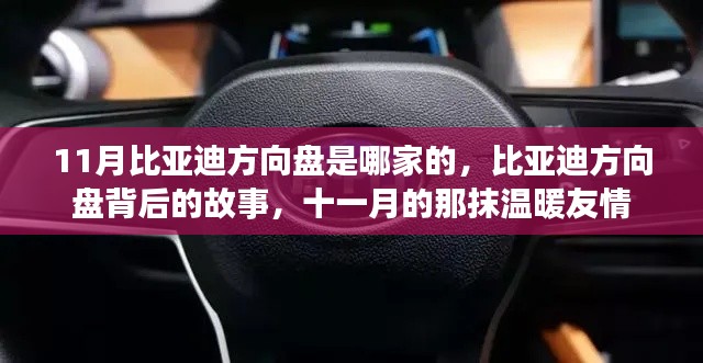 比亚迪方向盘背后的故事，揭秘与友情的温暖十一月记忆