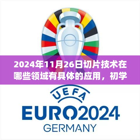 2024年切片技术深度应用指南，初学者与进阶用户适用，涵盖各领域应用详解