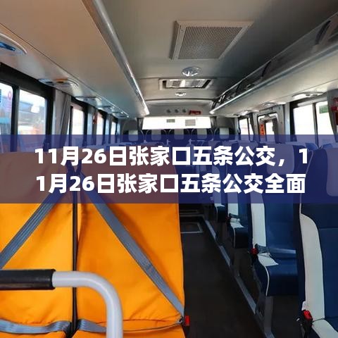 11月26日张家口五条公交线路全面评测与详细介绍