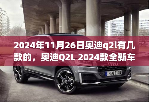 奥迪Q2L 2024款全新车型深度解析，多样选择，时尚与性能的完美融合