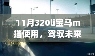 揭秘宝马M挡背后的自信与成长之路，驾驭未来，探索11月320li宝马M挡的使用之道