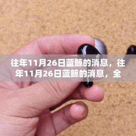 蓝鲸全面评测与介绍，历年11月26日的消息回顾