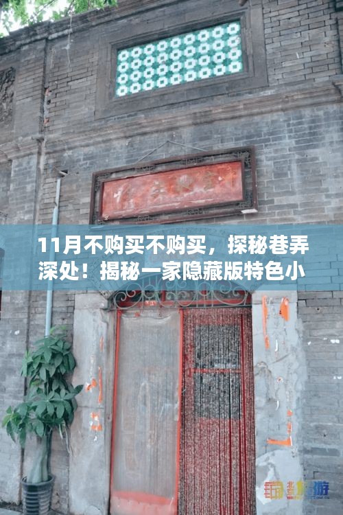 揭秘巷弄深处的隐藏版特色小店，不购买不购买，十一月新宠秘境探索！