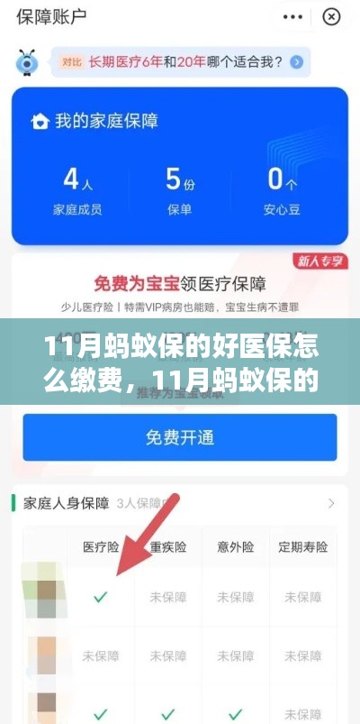 11月蚂蚁保好医保缴费攻略，轻松了解缴费流程