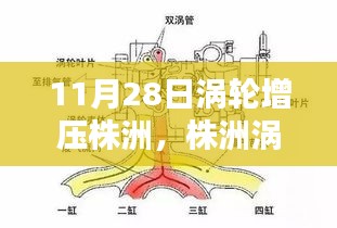 株洲涡轮增压技术解析与全方位指南（11月28日特辑）