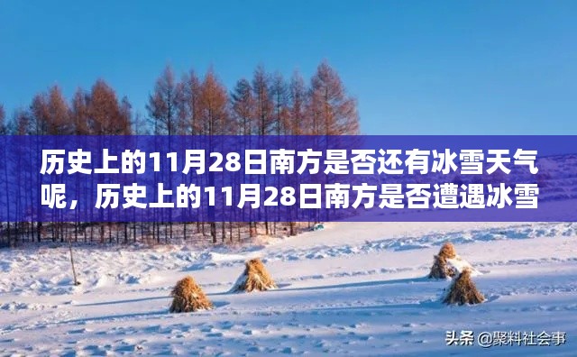 历史上的11月28日南方冰雪天气深度探究与观点阐述