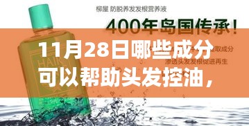 11月28日头发控油秘籍，控油成分解析与实操指南，适合初学者与进阶用户！