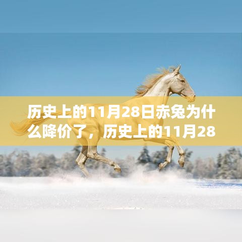 历史上的11月28日赤兔马匹价格骤降背后的原因，产品特性、体验、竞品对比与用户分析