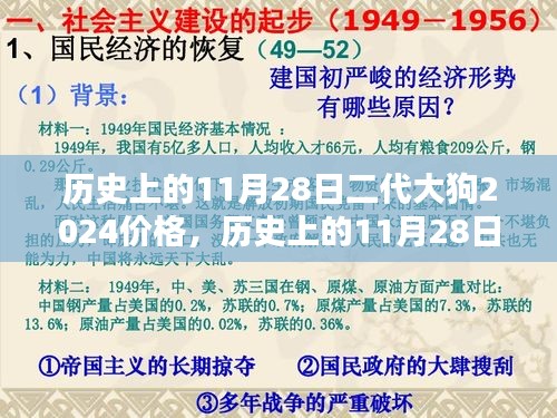 历史上的11月28日，二代大狗2024价格走势探究