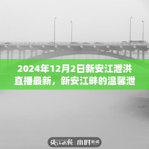 新安江畔的温馨泄洪日，直播之旅展现爱与陪伴