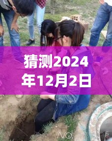 农安活埋女婴事件最新进展深度评测与介绍，2024年12月2日最新猜测与介绍