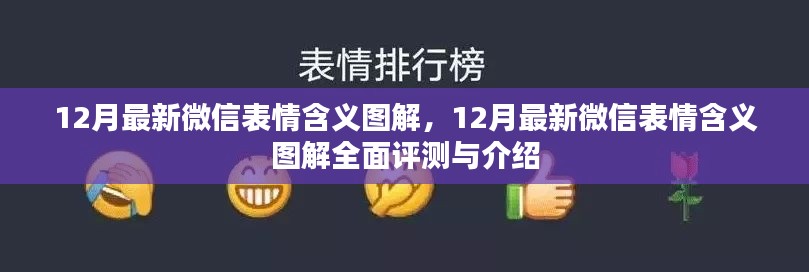 12月最新微信表情含义图解，全面评测与详细介绍