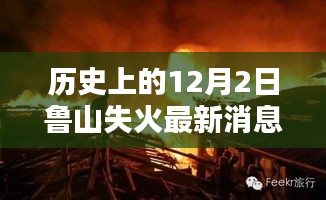 历史上的重大灾难与鲁山火灾最新消息深度解析与评测