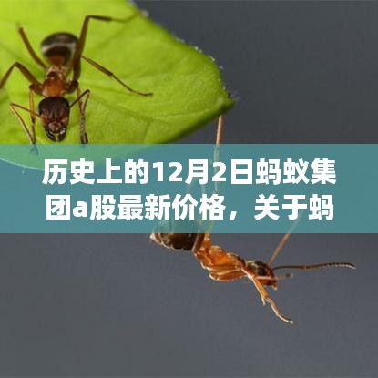 蚂蚁集团A股最新价格历史探索，查询步骤与数据深度解析（初学者与进阶用户指南）