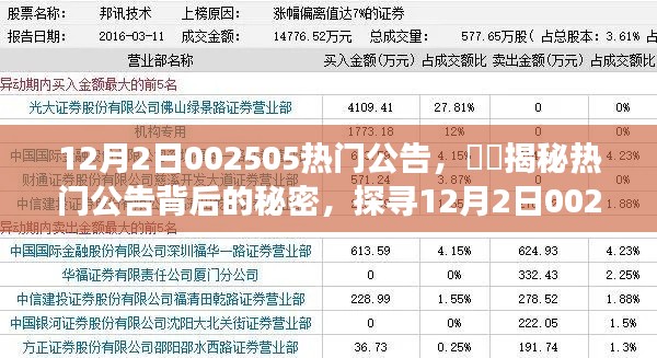 揭秘，12月2日热门公告背后的故事——探寻002505背后的秘密