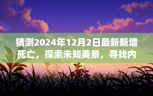 2024年12月2日奇迹之旅，探寻未知美景，寻找生命平静