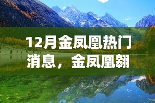 12月金凤凰翱翔全景解析，热门消息一览