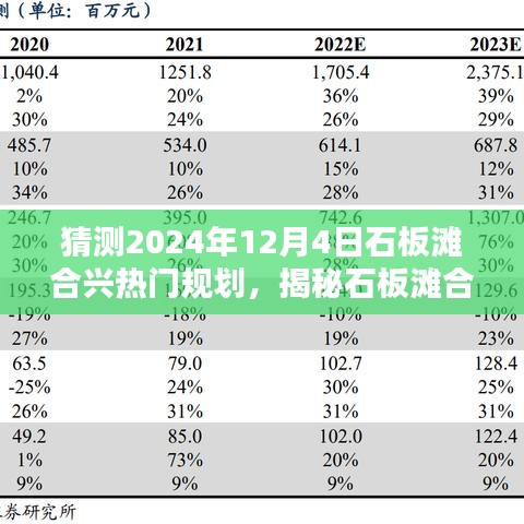 揭秘石板滩合兴未来规划，小巷深处的独特风味秘境与热门规划展望（2024年12月4日）