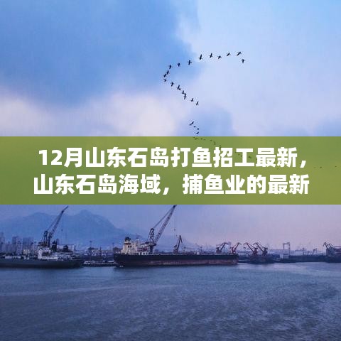 山东石岛海域捕鱼业最新招工潮涌动纪实，12月石岛打鱼招工信息速递