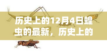 探寻蝗虫灾害，历史上的12月4日最新篇章