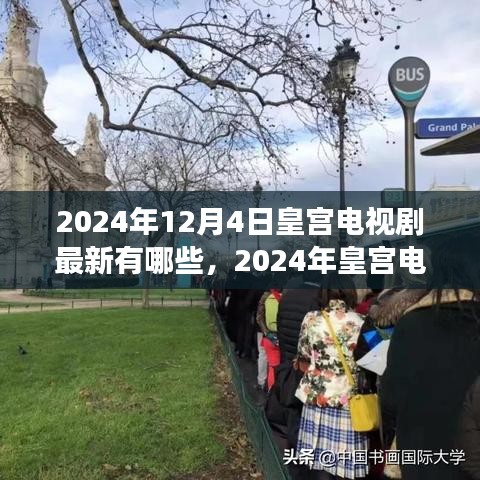 深度解析，2024年皇宫电视剧新潮流与背景事件之影响