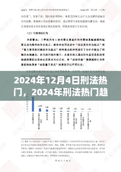 2024年刑法趋势展望，法律前沿的挑战与应对策略