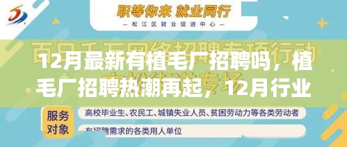 植毛厂招聘热潮再现，行业洞察与前景展望（12月最新招聘信息）