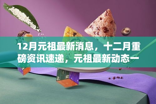 12月元祖最新动态与资讯速递