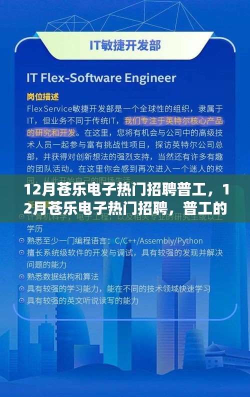 12月苍乐电子普工热门招聘，机遇与挑战并存