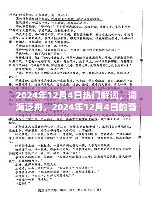 2024年12月4日热门词汇探秘，词海泛舟的奇妙之旅