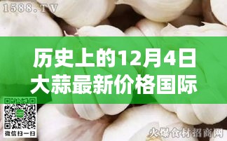 历史上的12月4日大蒜最新价格走势分析，国际大蒜网前沿报告回顾