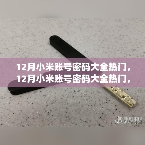 最新资讯与登录指南，小米账号密码大全热门及安全登录指南