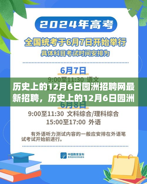 历史上的12月6日园洲招聘网最新招聘探析，揭示值得关注的就业现象