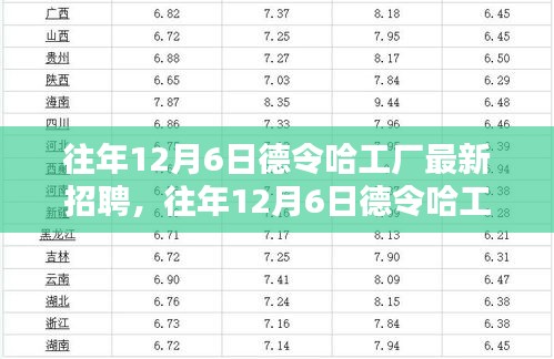 往年12月6日德令哈工厂最新招聘解析，人才招聘的利弊与个人观点