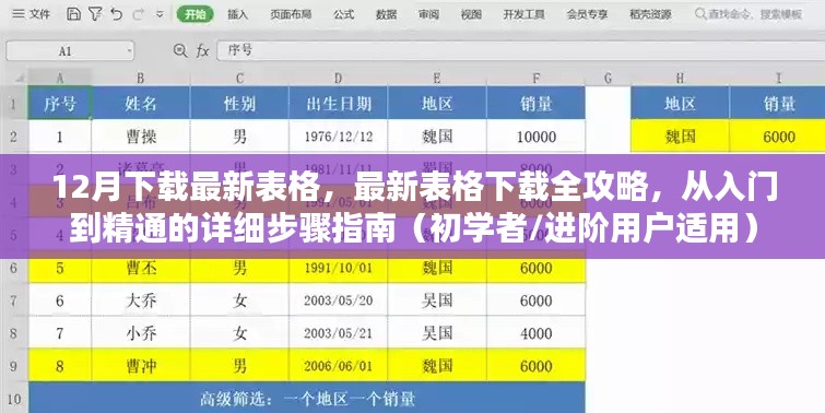 最新表格下载全攻略，从入门到精通的步骤指南（适合初学者与进阶用户）