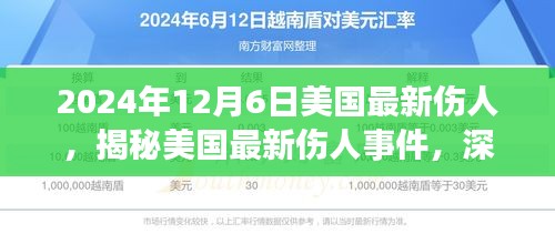 揭秘美国最新伤人事件，深度解读与探讨（发生在2024年12月6日）